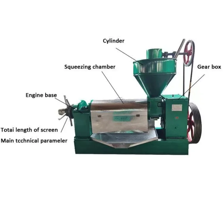 6YL-95 High Quality Automatic Spiral Cold Press Oil Machine for Walnut Olive Coconut Rapeseed Oil Pressing