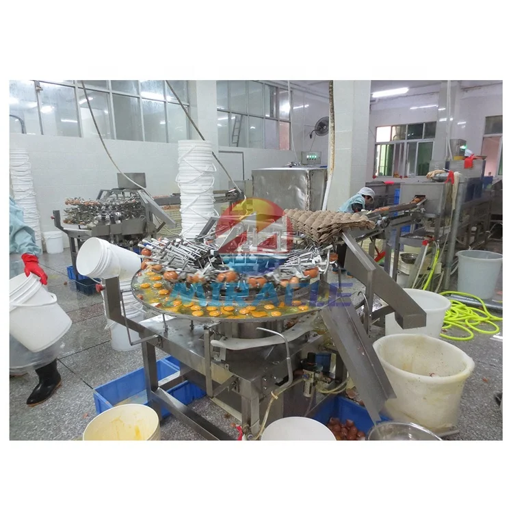 How To Find a Manufacturer Of Pasteurized Egg Liquid And Egg Powder Production Line