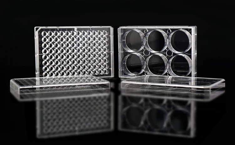 Factory Direct Lab Disposable TC-Treated  Cell Culture Plates 6/12/24/48/96/384 Wells