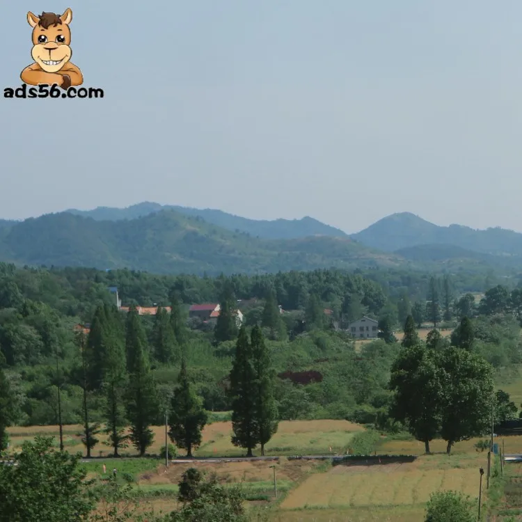 DHL Door to Door Shipping Forward Companies China to Israel Cheapest Air Freight Supplier  ===Wasap:+ 86 15271797980