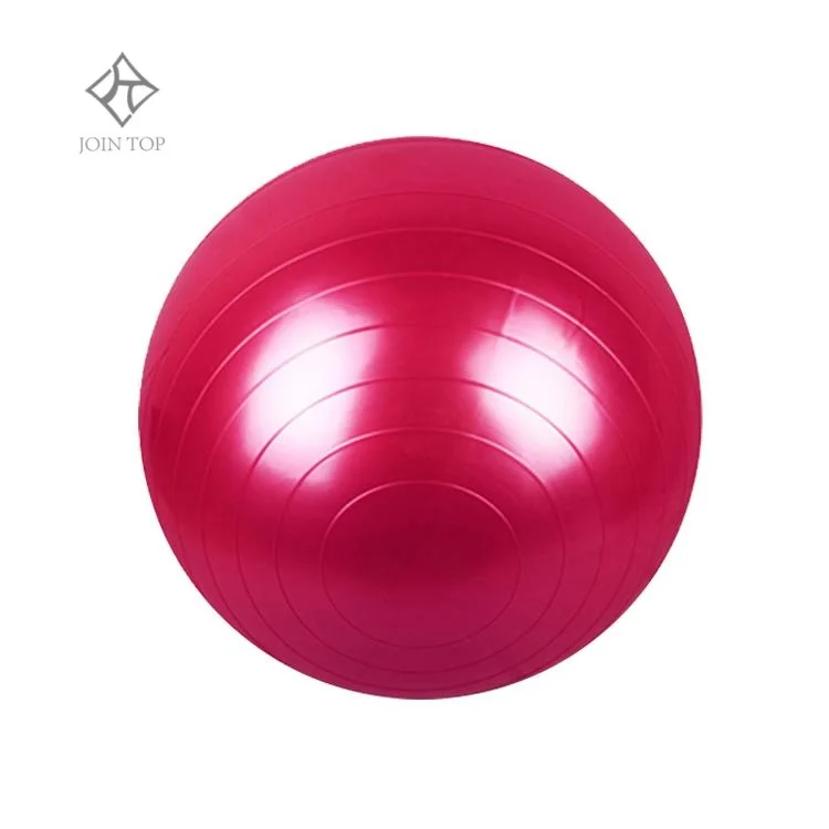 Jointop 65cm Yoga Ball Stability Sitting Ball Chair Covers Multifunction Foldable Storage Bag