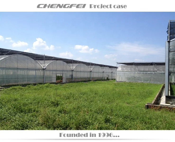 Multi-span serre-agricol plastic film chilli vegetable greenhouse buy agriculture turkey supplier for sale