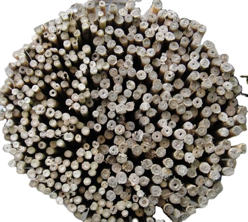 Bamboo cane for garden plant support