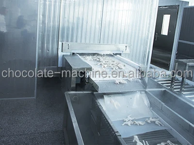 quick freezer tunnel machine belt conveyor vegetable fruit fish seafood meat beef freezer