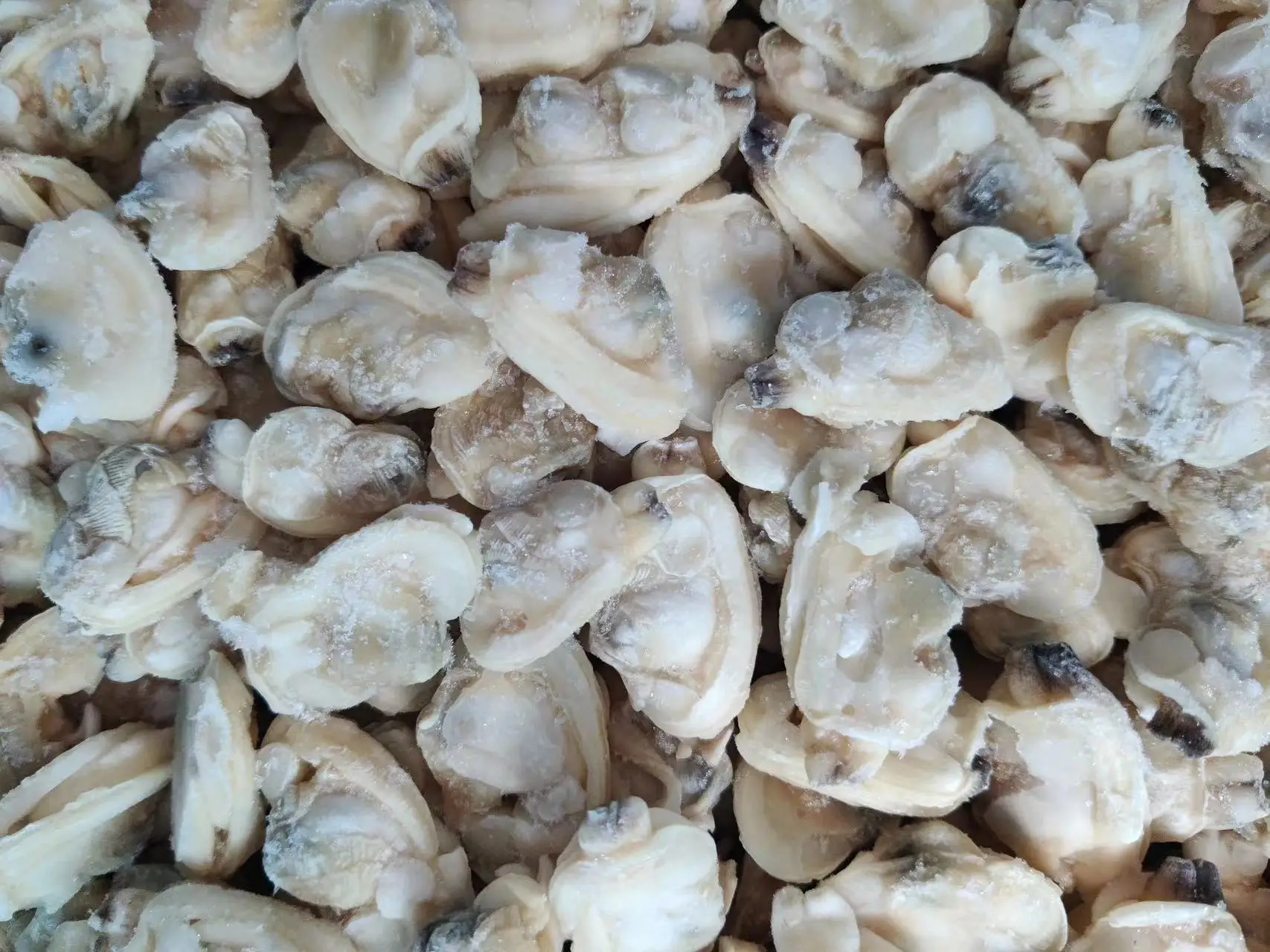 Frozen Clam Meat Short Necked Yellow IQF/BQF Seafood Fish Cooked Boiled Clean For Thailand Malaysia Vietnam Market
