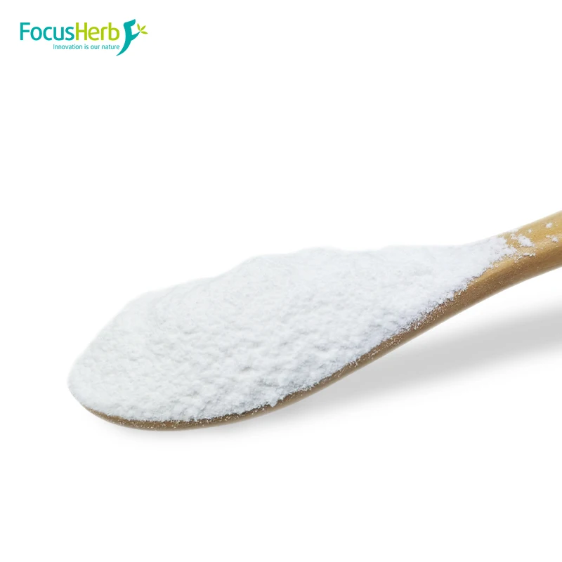 
FocusHerb Supply OEM Bulk Supplement Sport Nutrition BCAA Amino 