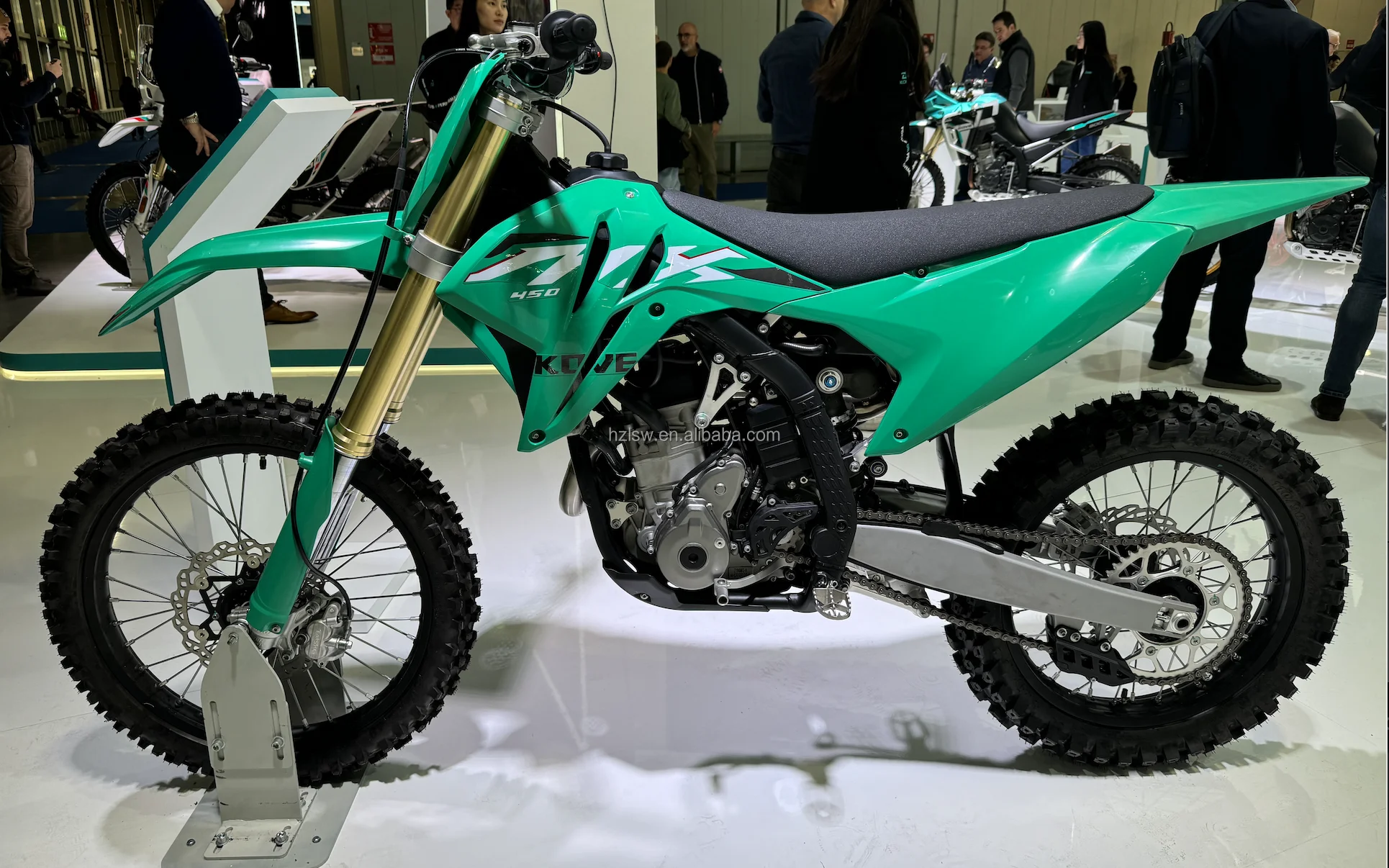 Bosch 450cc Off-Road Cross Bike with 48.5KW Engine Power for Enduro Riders EFI System