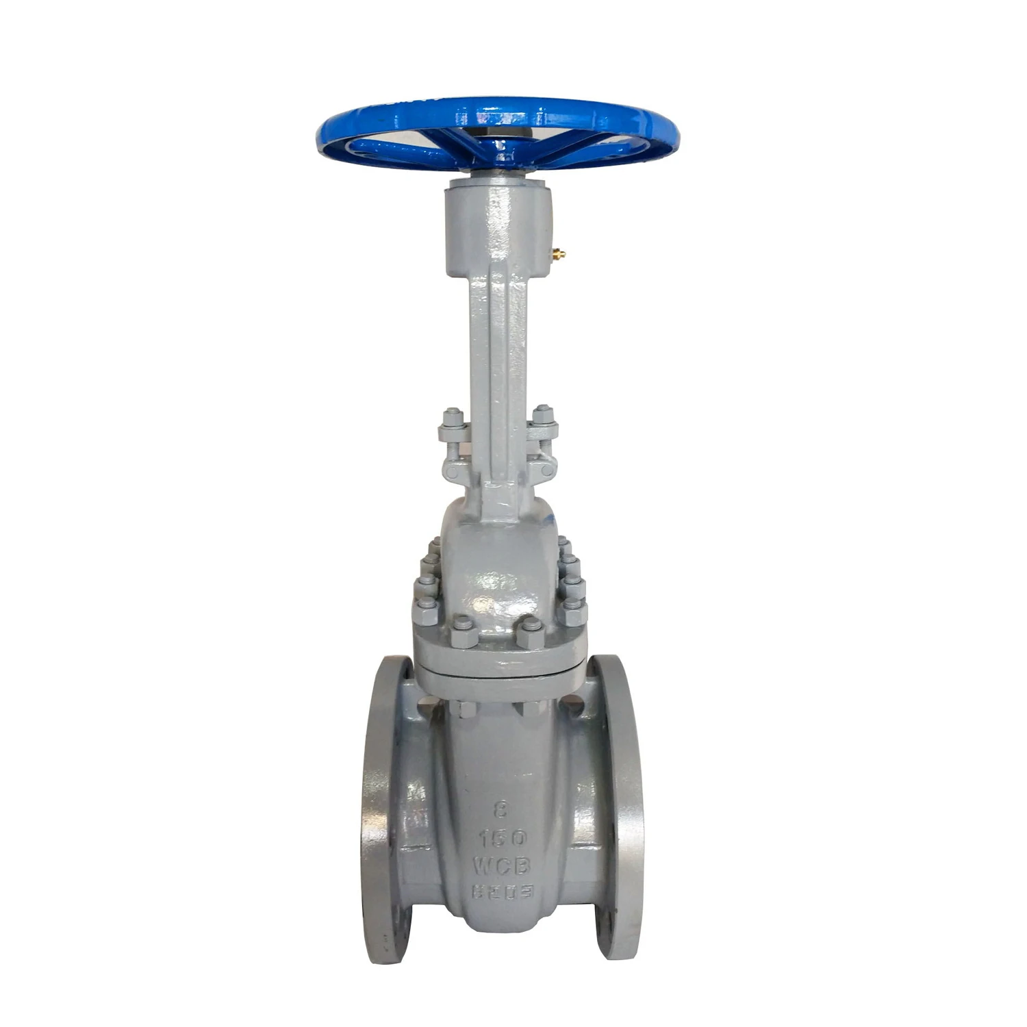 High Quality ANSI 304 316 Stainless Steel Ductile Iron Rising Stem Gate Valve for Sale