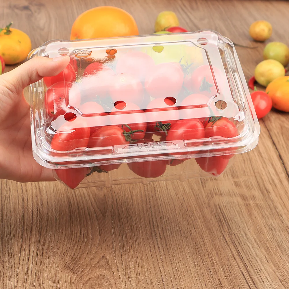 Plastic Blister Clamshell Food Eco-friendly Disposable