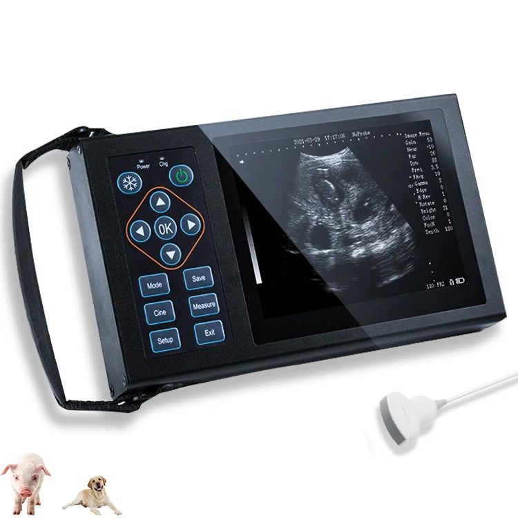 New model handheld portable digital handheld cheap price vet ultrasound