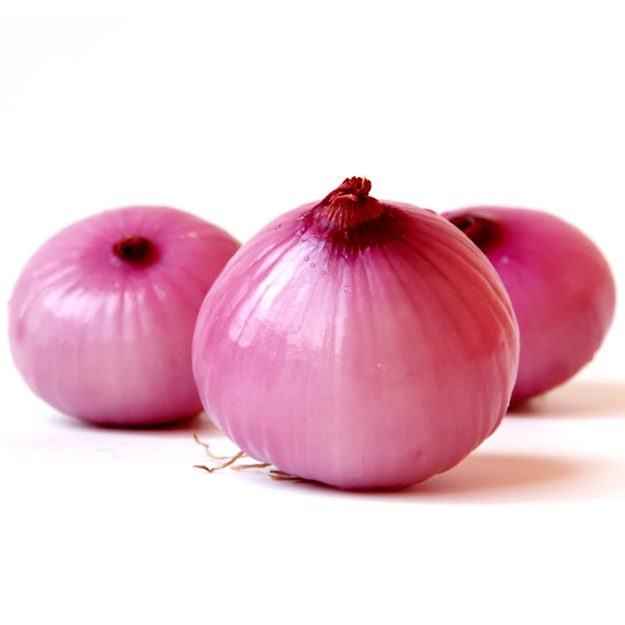 China fresh exporters prices ton red onion for onion importers wholesale