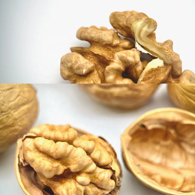 New Crop Walnuts in Shell Paper Walnut Nuts 185 Washed Walnut