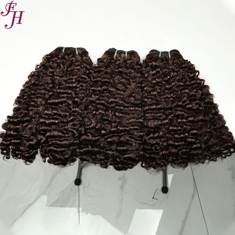 FH  Raw Vietnamese Burmese Curly Hair Wavy Bundle Hair Vendors Vietnamese Cuticle Aligned Unprocessed Virgin  Human Hair Weave
