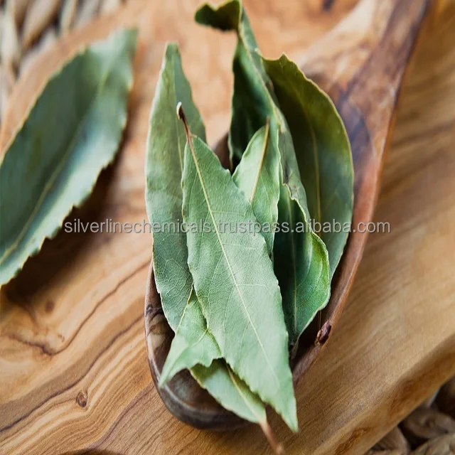 Bulk Bay Leaf Oil Bay Laurel Oil Price