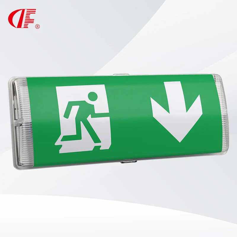 Многоканальное крепление Salida аварийный световой знак Выход водонепроницаемый светодиодный свет