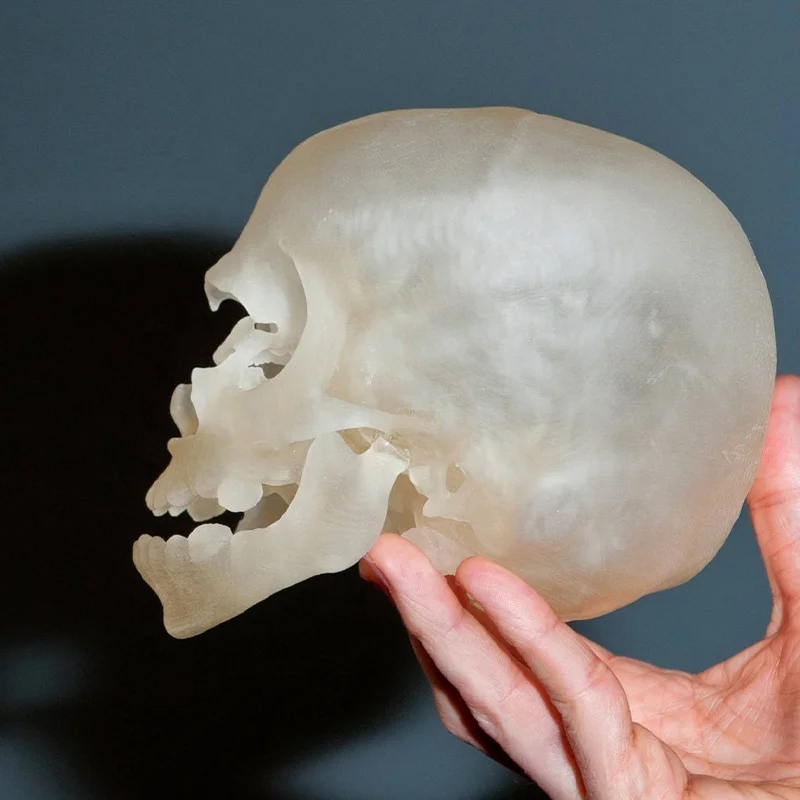 3d print skull polyjet clear transparent full color medical educational application smooth resin good quality