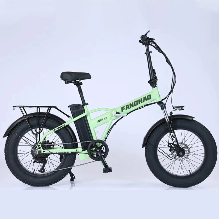 OEM 20 inch 48v 250W fat tire foldable bicicleta electrica plegable ebike / folding electric bicycle