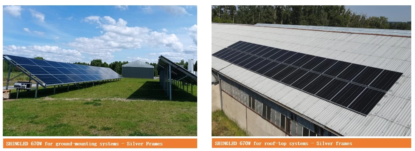 project cases 2024-3.png