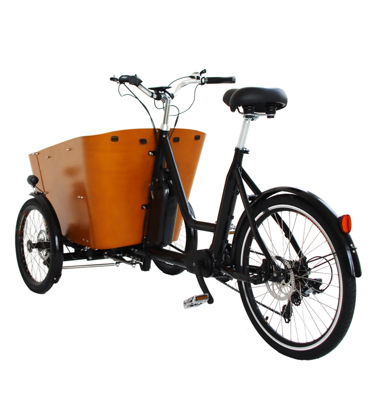 Europe Style 3 Wheel Bicycle With Cargo Box Front Loading Cargo Tricycle For Sale Electric And Manual Version Cargo Bike