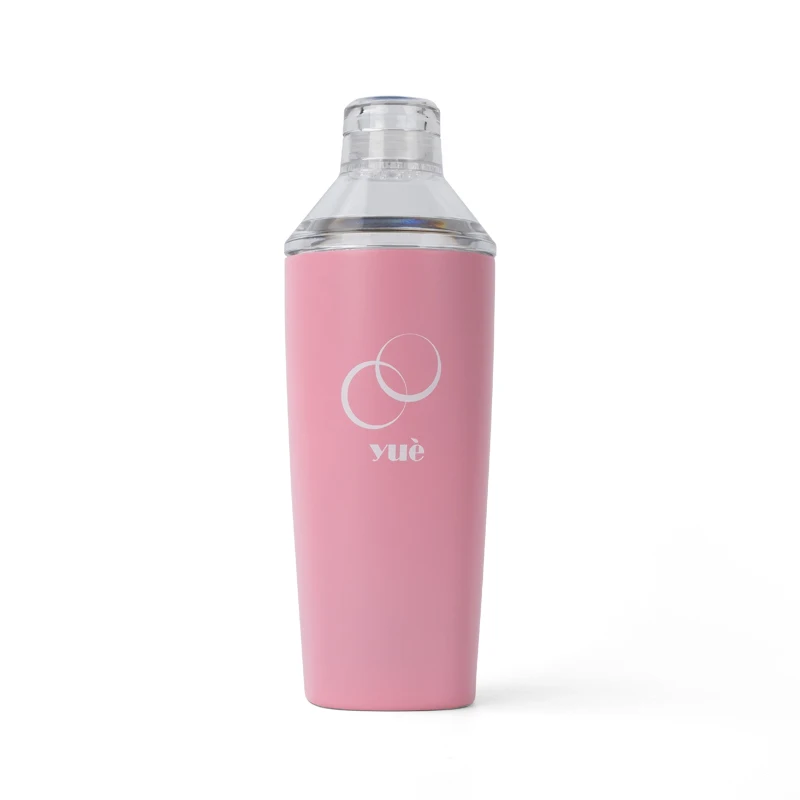 New Design Cute Pink Stainless Steel Wine Bottle Chiller Slim Cocktail Shaker 20OZ