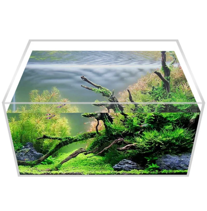 Custom Clear Acrylic Fish Tank Aquarium