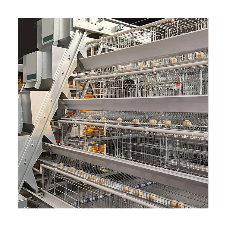 H Type Automatic Chicken Equipment Battery Cage System For Egg Laying Poultry Farming