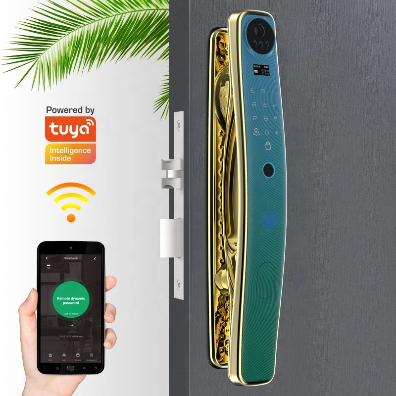 New Design Wholesale Price Tuya App Unlock Support Temporary Password Electronic Smart Door Lock with Camera