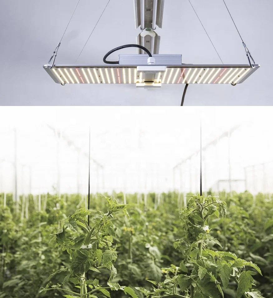 4X-100 Lm301H Lm301B Waterproof Dimmable Full Spectrum Horticulture Hydroponic Light Led Grow