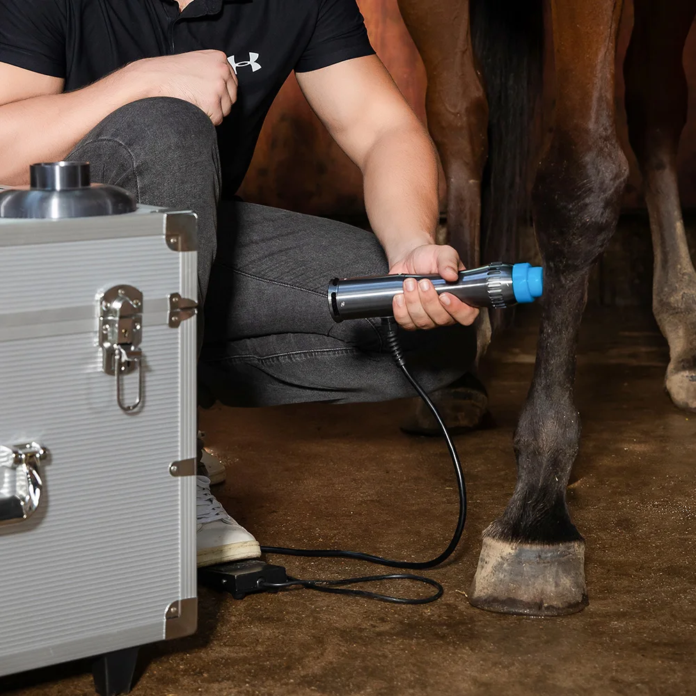 Professional Veterinary Instrument Electromagnetic Shock Wave Therapy Machine for Animal Pain and Injuries Treatment