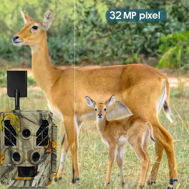 Охотничья камера 4 г разрешение облако 36MP 0 3 s скорость 1080P видео водонепроницаемый датчик CMOS 256GB SD память