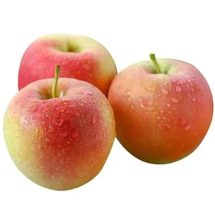Shanxi Red Fuji can wholesale sweet high quality red heart sweet apples