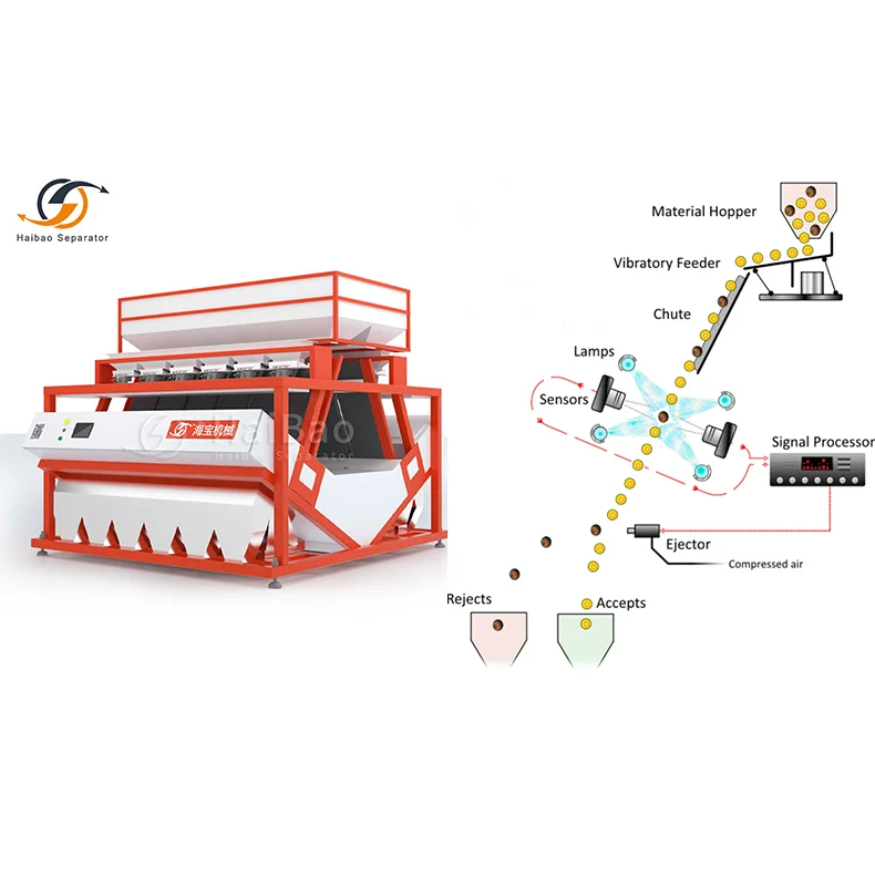 CCD Supplier Leading Manufacturer of China Magnetic Separator For Sunflower Seeds/ Sorting Machine For Fruit Color Sorter