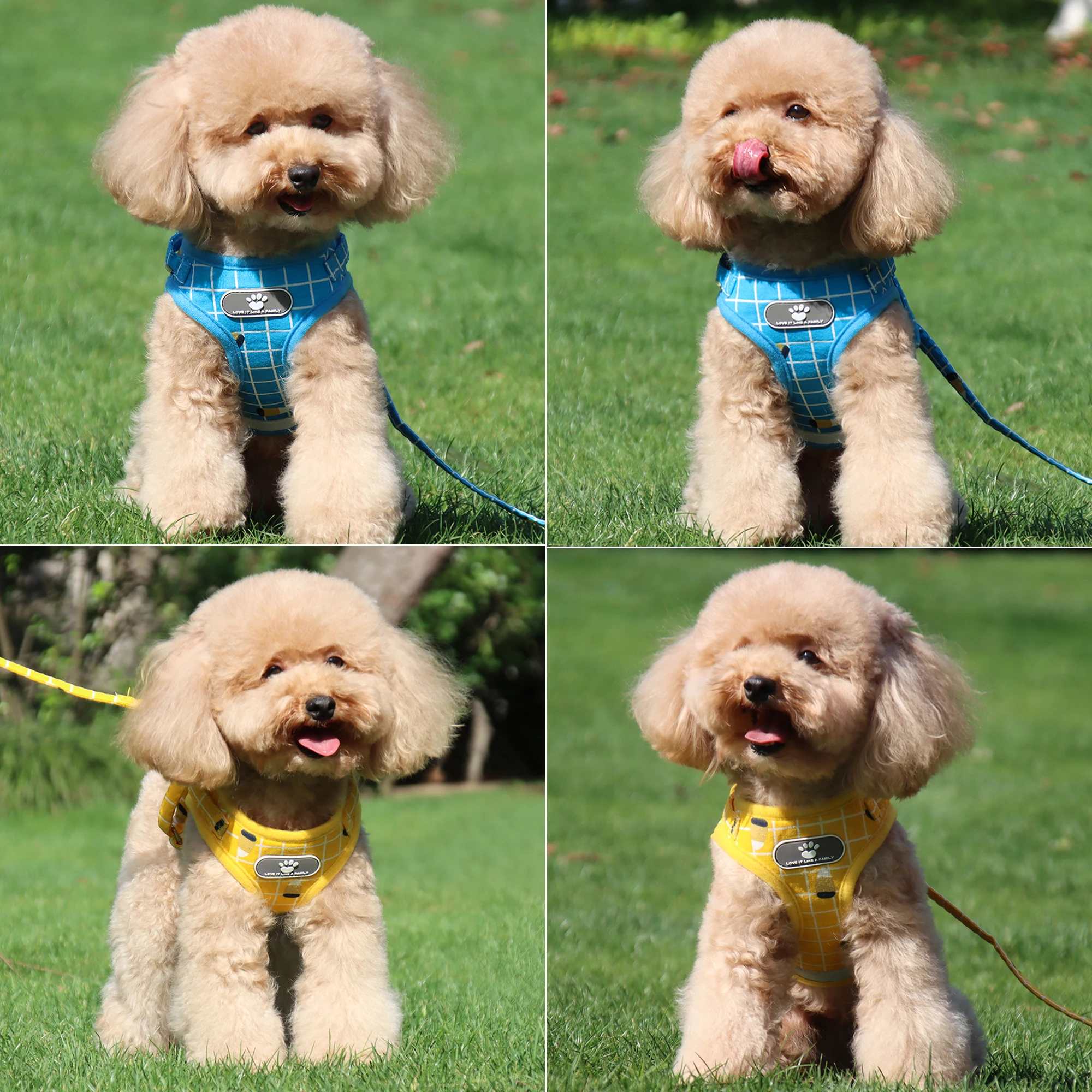 Vest Harness Leash Adjustable Mesh Vest Dog Harness Collar Chest Strap Leash Harnesses With Traction Rope XS/S/M/L/XL