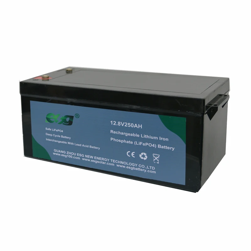 ESG Custom Deep Cycle Rechargeable 12v100ah 200ah 250AH Replace Lead Acid Battery 24v Solar Bateria Lithium