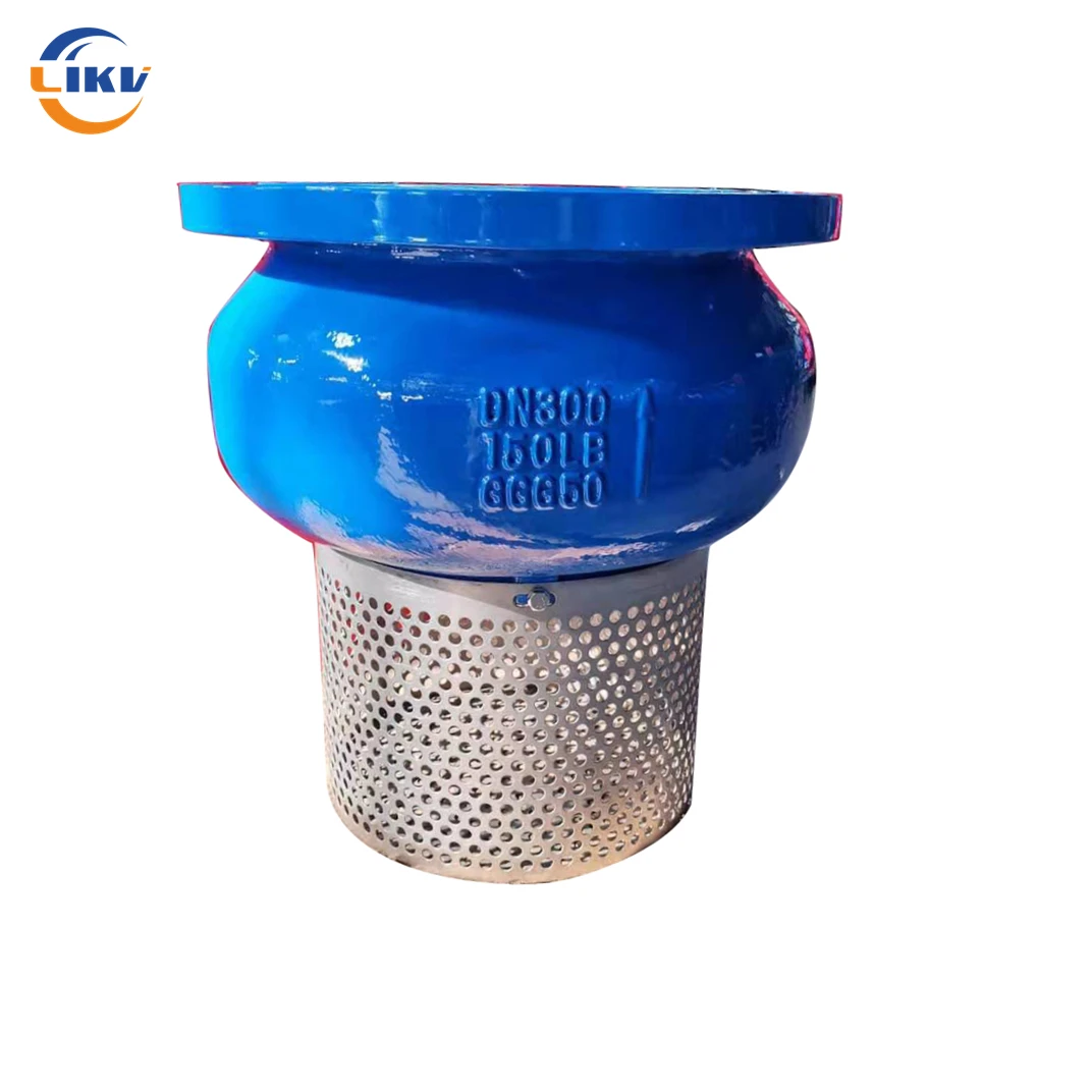 Silent Check Valve Plus Foot Valve with Filter Strainer Cylinder