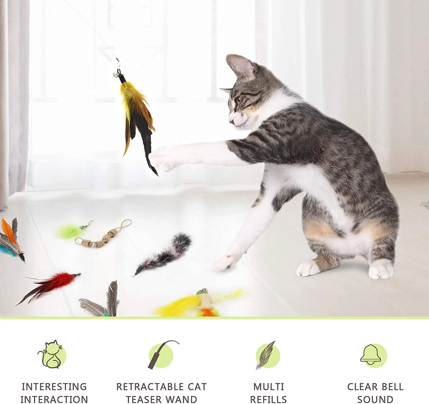 CATT6.jpg