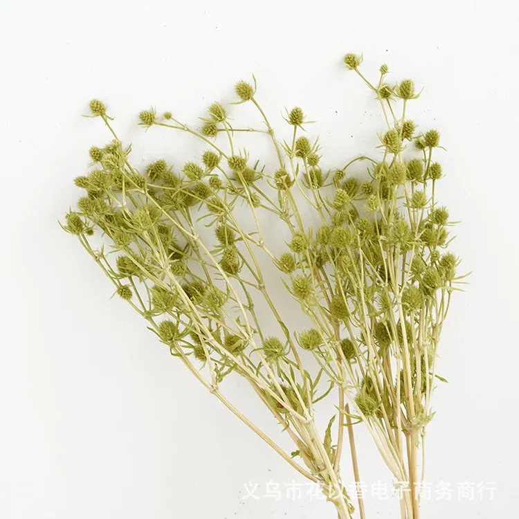 Wholesale Most Popular Colorful Dried Preserved Flowers Valentines Fruit For Decorative Wedding