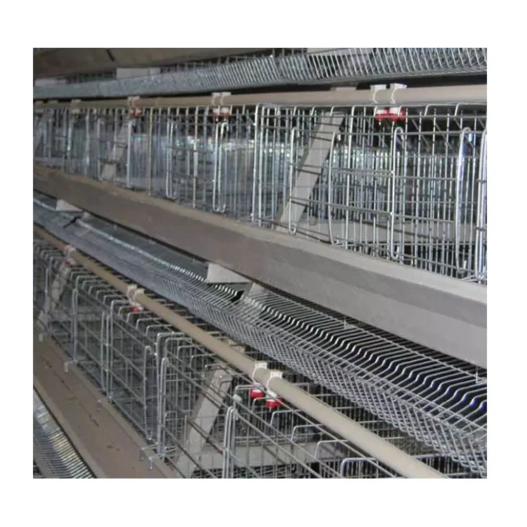 Chicken Cages Layer Cage Chicken Layer Polutry Farming Chicken Cages
