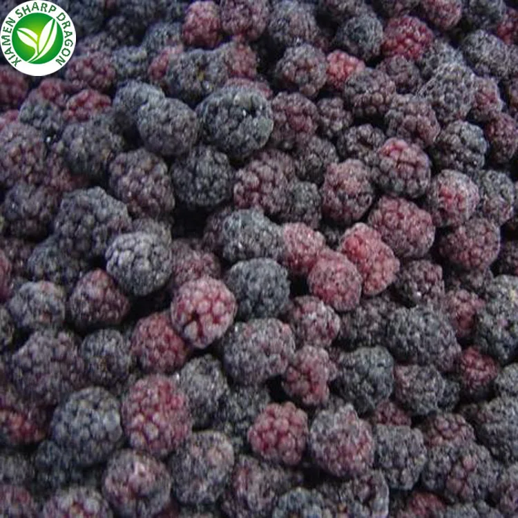 Bulk price fruit pulp iqf frozen blackberries