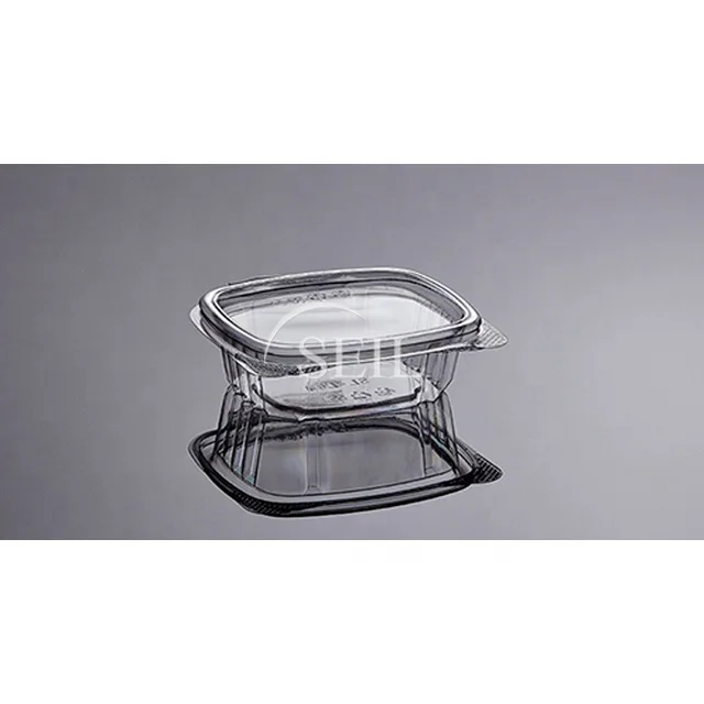 SL-04 Hinged Disposable Plastic Container / Take Out Lunch Container