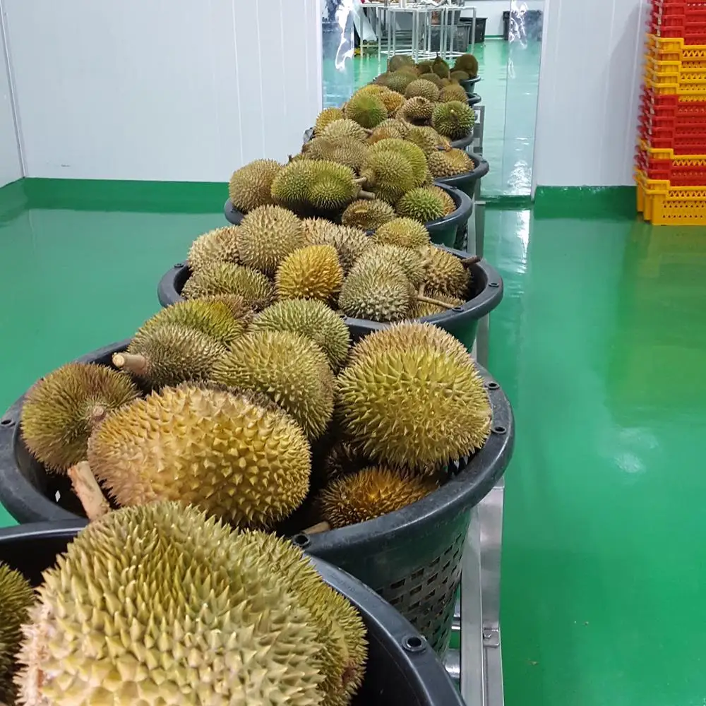Премиум свежий Musang King Durian