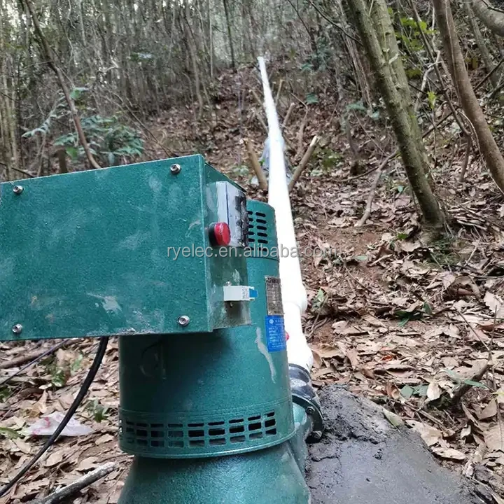 Factory Direct 5000w Supply Hydroelectric Turbine River Hydroelectric Big Factories CE 220v Electricity Generation Hydropower RY