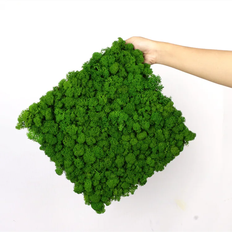 
 2021 г., оптовая продажа, экологически чистый мох, сохраненный мох для украшения  