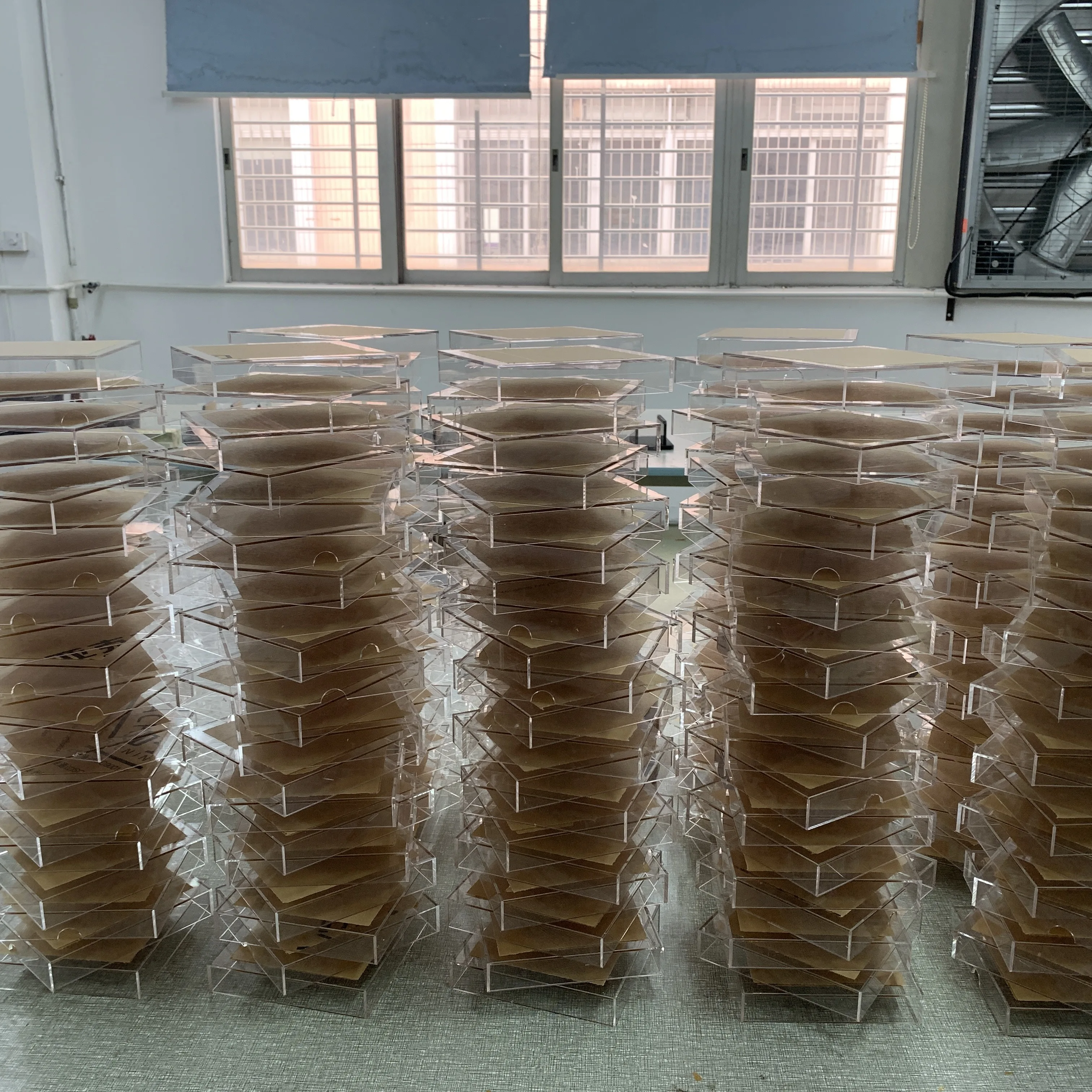 High Quality Waterproof Roses In Acrylic Box Gift Preserved Flower Acrylic Rose Box With Drawer Eternal Roses In Acrylic Box