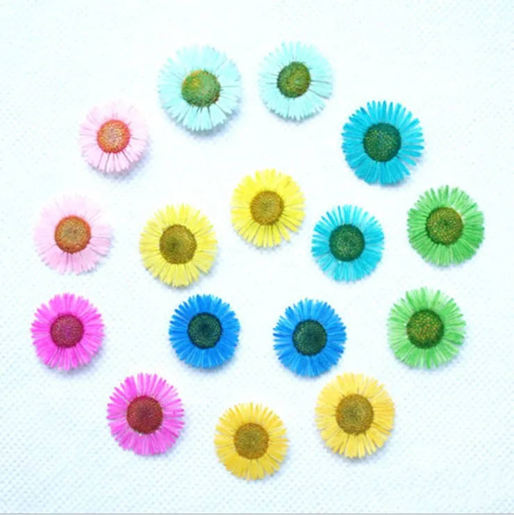Hot Sale Small Mini Dry Flowers Natural Dried Needle Chrysanthemum Pretty Pressed Decoration and Plants Flower for Resin