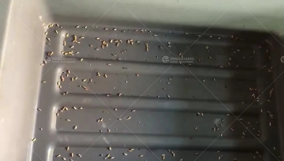 Commercial Pomegranate Fruit Juice Extractor Machine