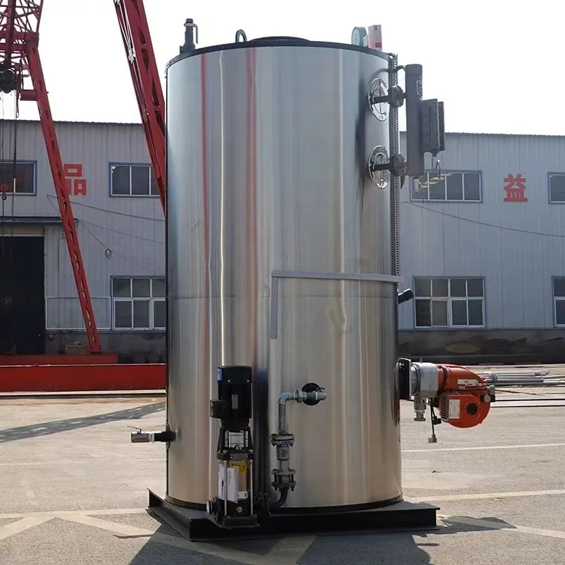Domestic Boilers LHS Series Food Industry use LPG Steam 0.3ton 300liter per hour Natural Gas Heating Fired Boiler