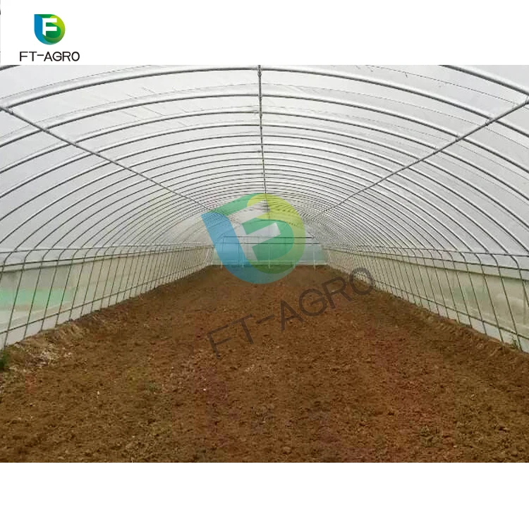 Professional Film Covering plastic tunnel greenhouse