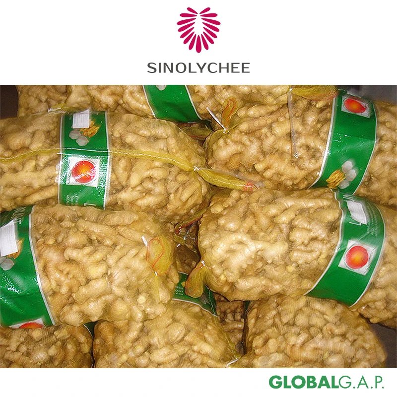 Chinese Export Fresh Ginger Dried Ginger For Sale Wholesale Price