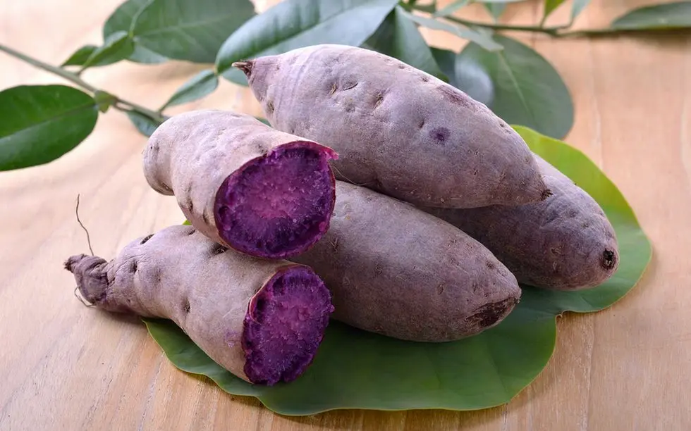 Highly Suggestion For The Purple Sweet Potato Made In Vietnam With 3 Months Maturity Have COMMON Cultivation Type